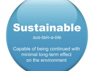 Sustainability Professional